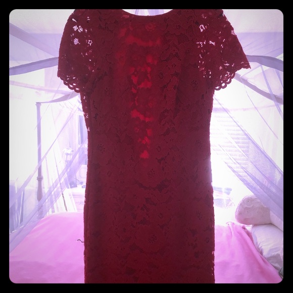 Red lace mini dress - Picture 3 of 11